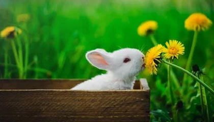 大众会员-解说诗诗发布舞蹈视频：我来营业，哪个宝宝还没有看挑杯主播赛？